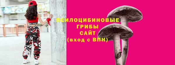 молекула духа Абинск