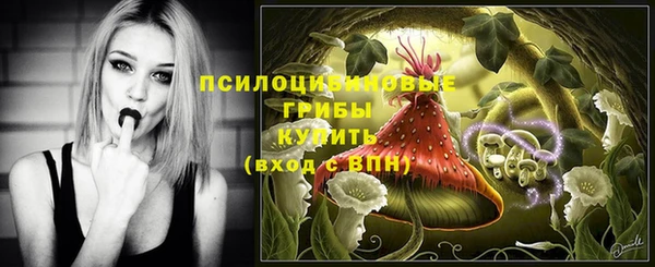 молекула духа Абинск