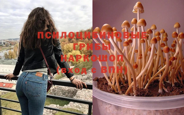 мескалин Абаза