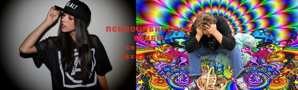 молекула духа Абинск