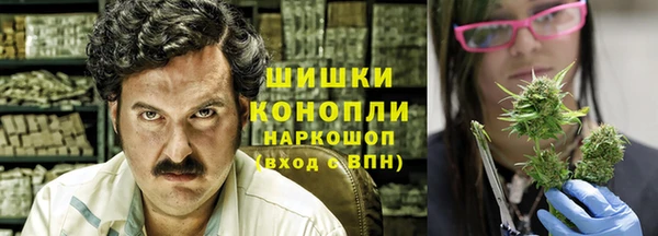крисы Абдулино